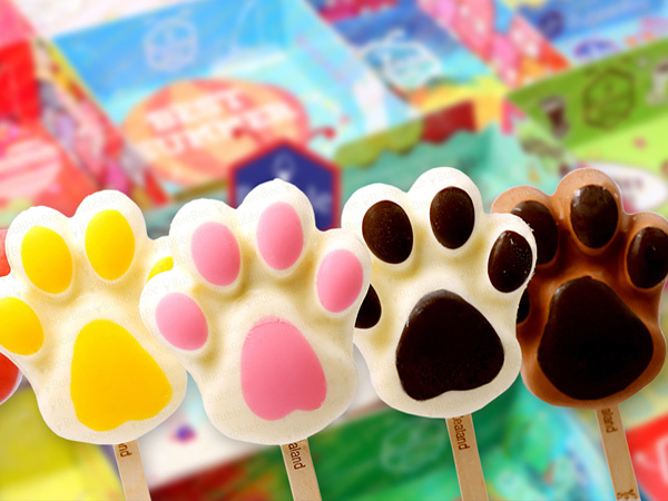 衡阳网站建设公司